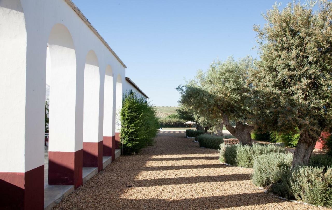 Отель Quinta Da Chamine Феррейра-ду-Алентежу Экстерьер фото